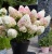 Гортензия метельчатая Little Blossom гортензия метельчатая little blossom
